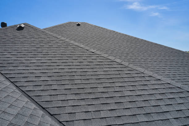 Best 4 Ply Roofing  in Spicer, MN